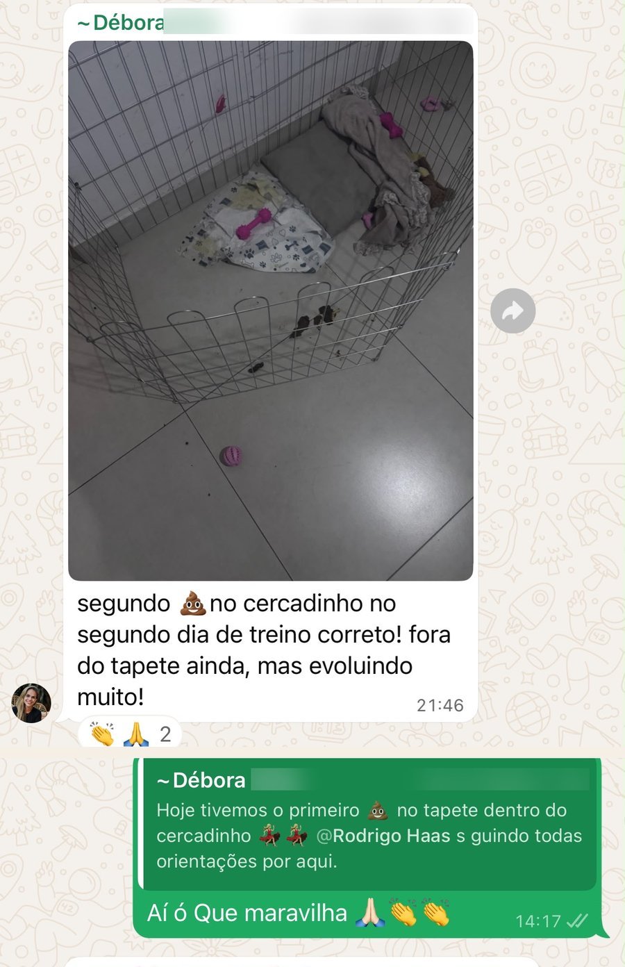 Conversa no grupo: primeiro cocô no lugar certo, tutora comemorando com o Rodrigo