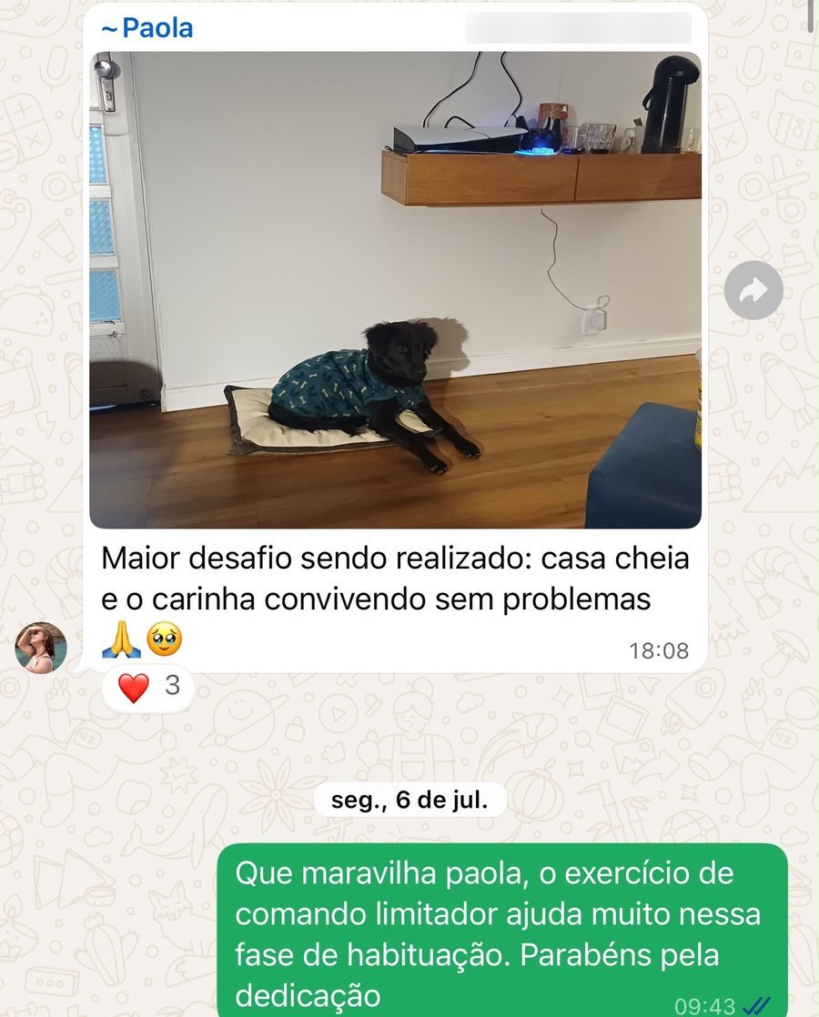 Conversa no grupo: maior desafio superado, casa cheia e cão tranquilo