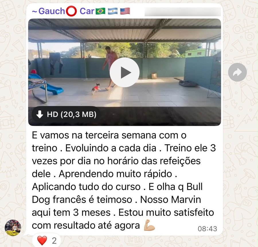 Conversa no grupo: terceira semana de treino, tutor satisfeito com o resultado