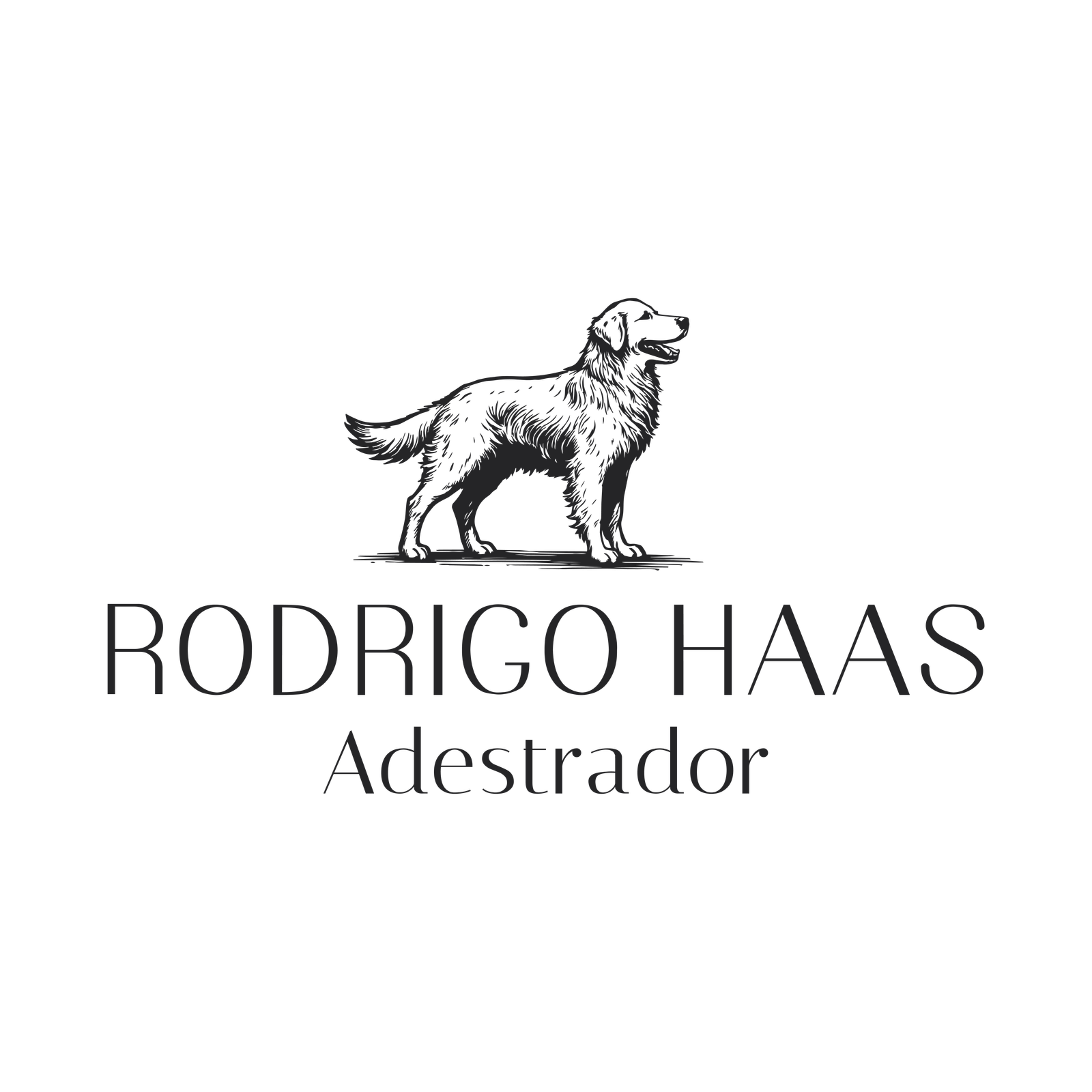 Rodrigo Haas — Adestrador
