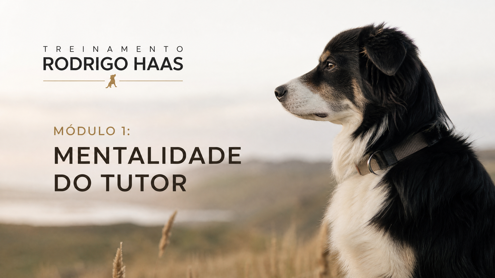 Módulo 1: Mentalidade do Tutor