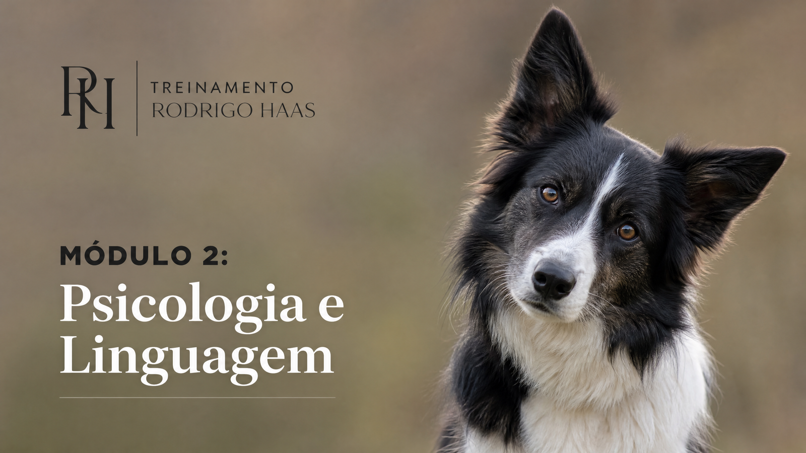 Módulo 2: Psicologia e Linguagem