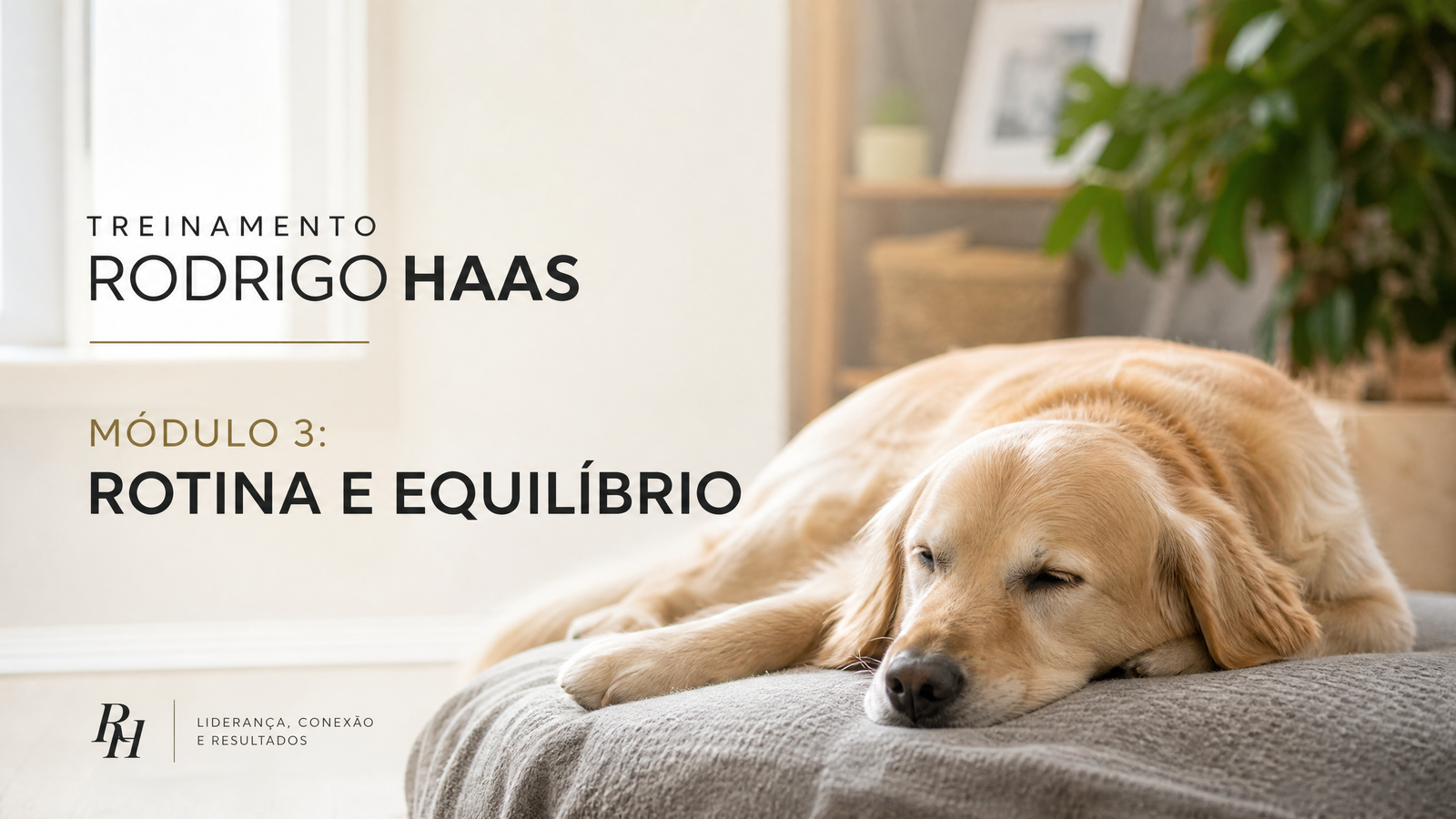Módulo 3: Rotina e Equilíbrio