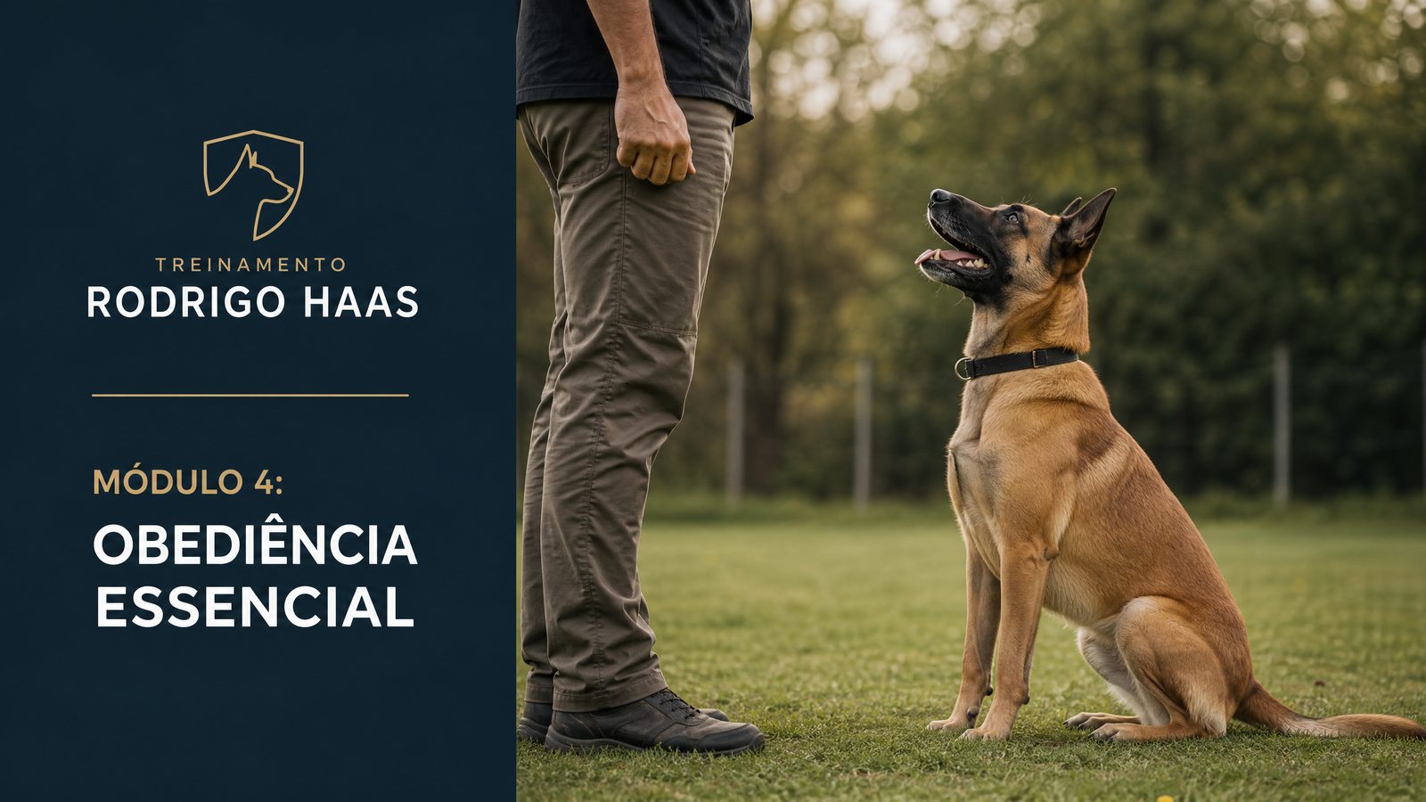 Módulo 4: Obediência Essencial