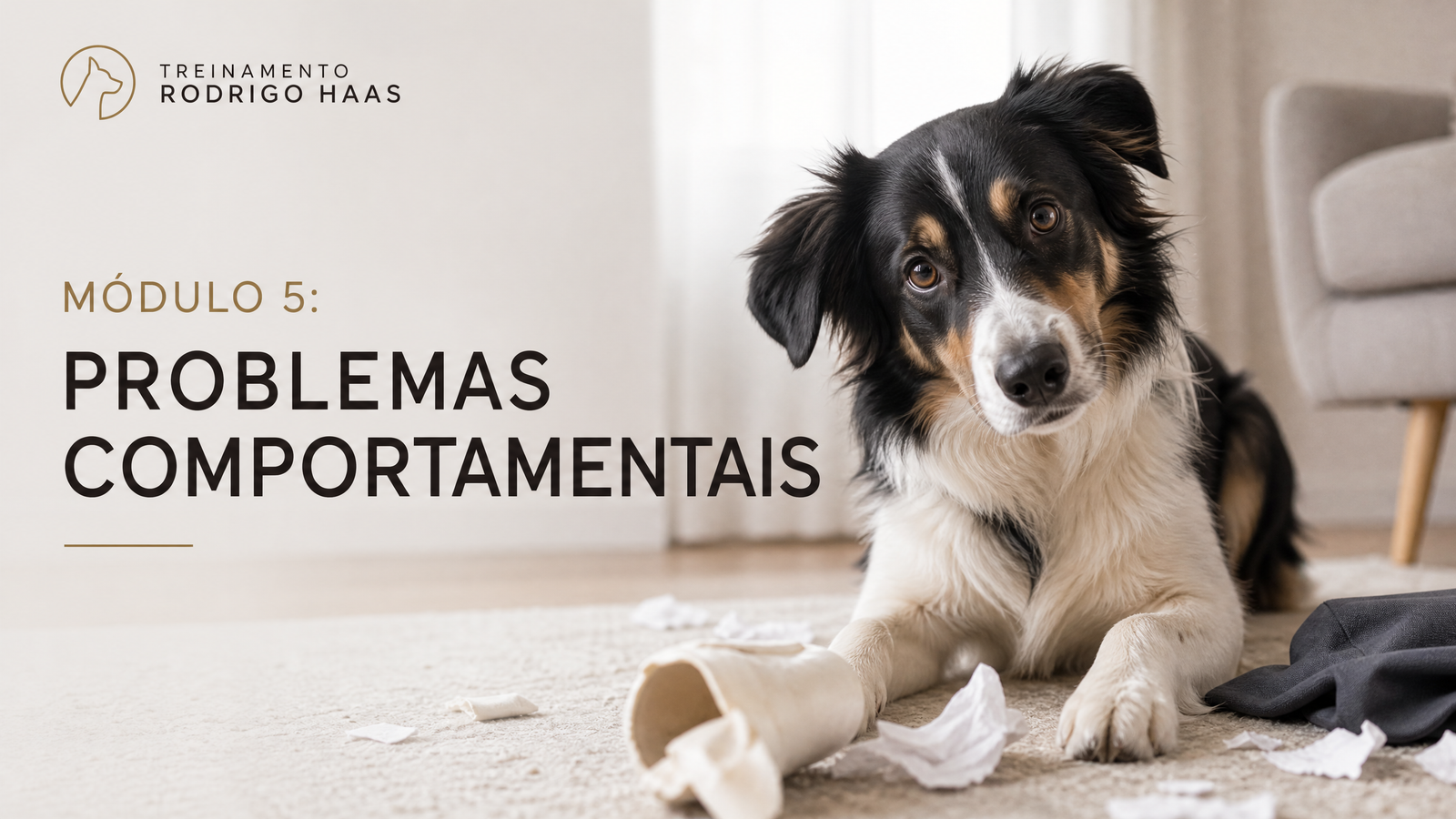 Módulo 5: Problemas Comportamentais