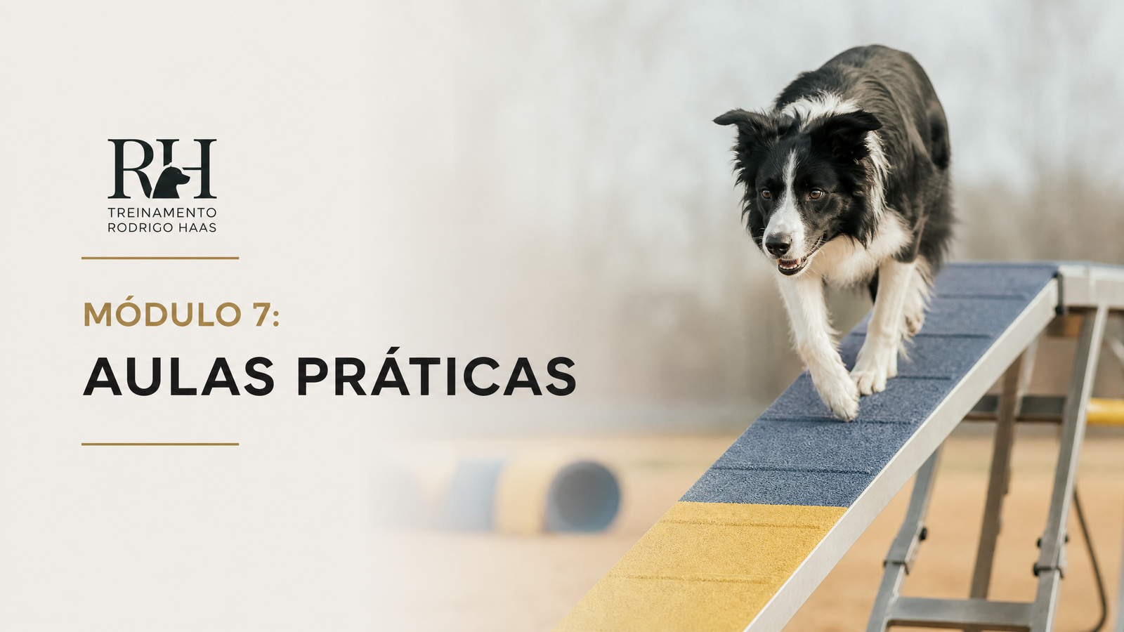 Módulo extra: Aulas Práticas