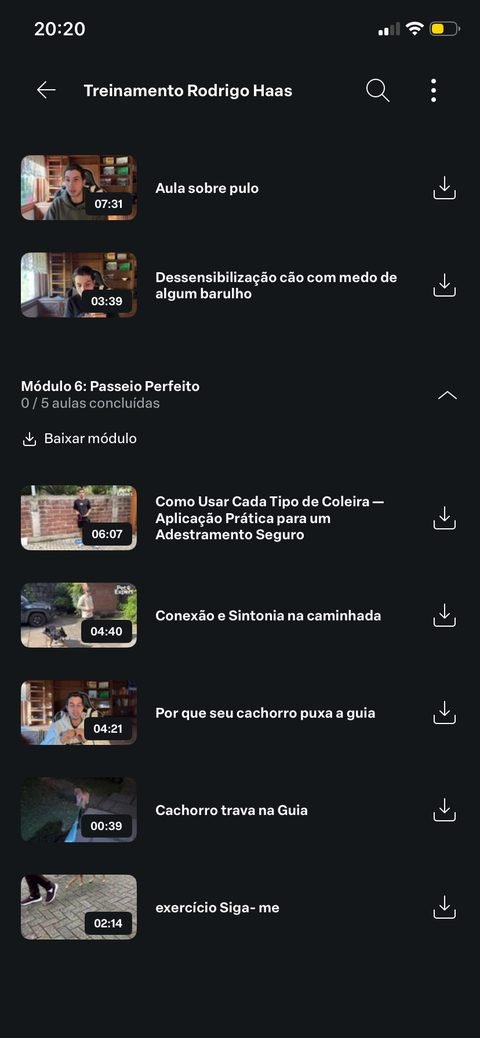 Lista de aulas do módulo Passeio Perfeito dentro da área de membros