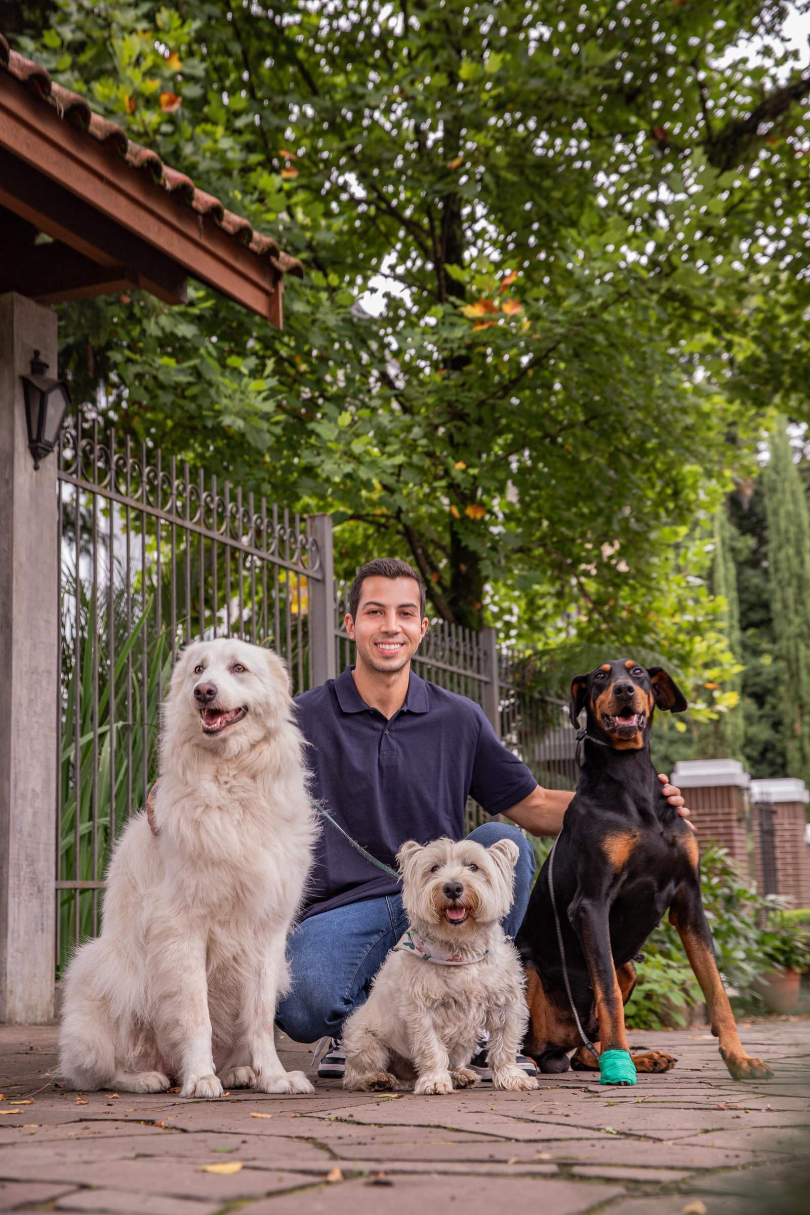 Rodrigo Haas com seus três cães